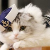 银角大王