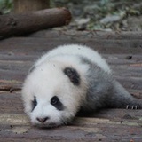 云在青天