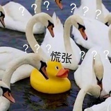 豆友79356001