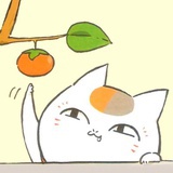 善水