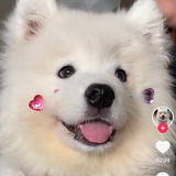 生椰奶绿要全糖