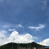 桔梗草