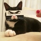 泡椒猪皮