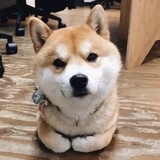 你快悄悄地吧