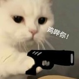 凉风