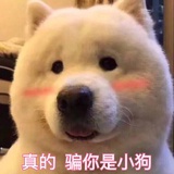 你看