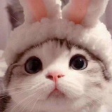 RubyRabbit