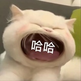 林抱影