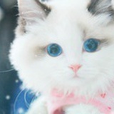kiki