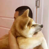 林更旧