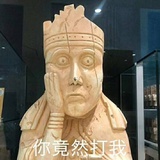 一只馬