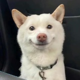 英皇娱乐倒闭了