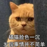 酸菜鱼