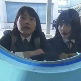 蝉鸣声不停