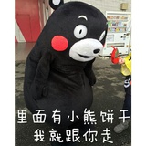 kumamon