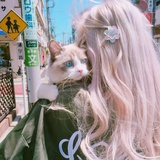 烟火花果
