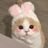 大高个王大仙~