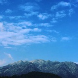 桐华