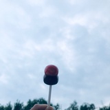 布布崽