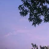 阿菇菇