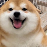 竖三一