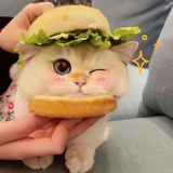 你眼睛会笑i