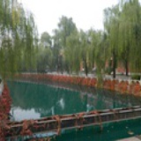 赵宇