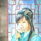 宴会猫