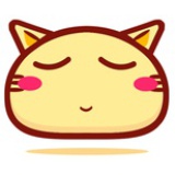 萌神猫小小