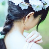木上水