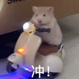 다비치