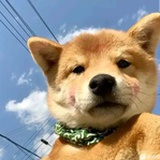 威猛先生
