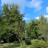 cqjy