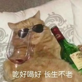引燃