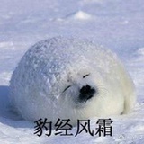 秾桃浅杏