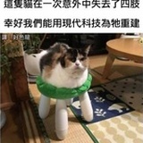 美达啦