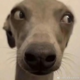 暴力小案板