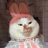 不是你的刺客