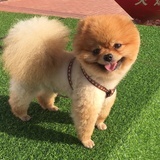 这是友才呀