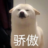 Ohno-S