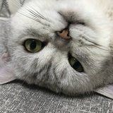 糖瓜～