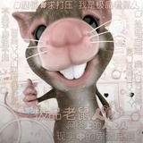 八块腹肌潜水君