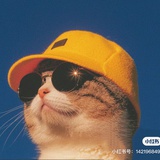顾得猫宁