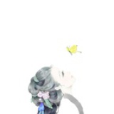 花开不落