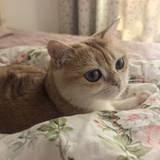 这就是我的生活