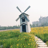 哲小哲