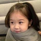 桔梗子