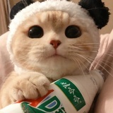 反派脚色