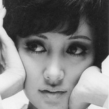 长耳小野兔