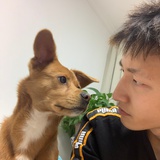 贾毅斌
